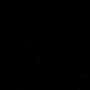 Meet your Posher, Gavin